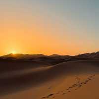 Lost in the Sahara
