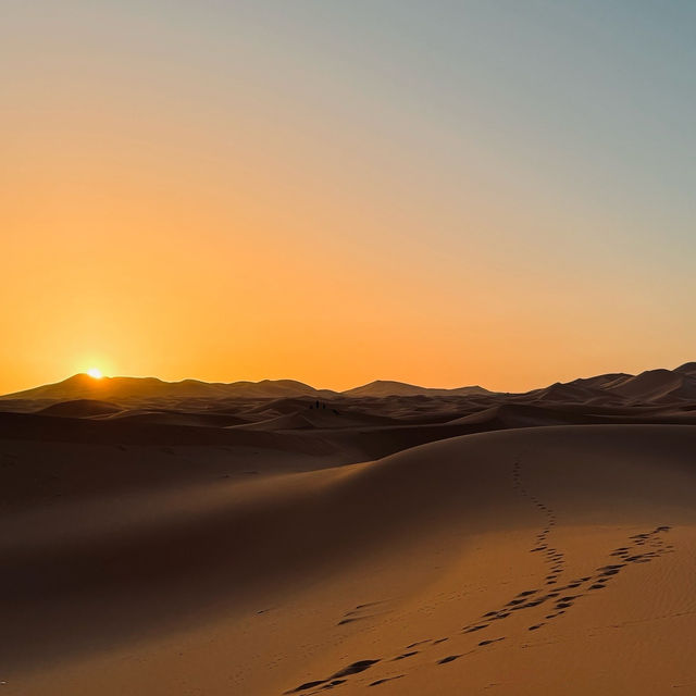 Lost in the Sahara