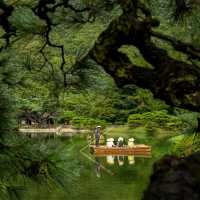 Explore the Serene Beauty of Shikoku