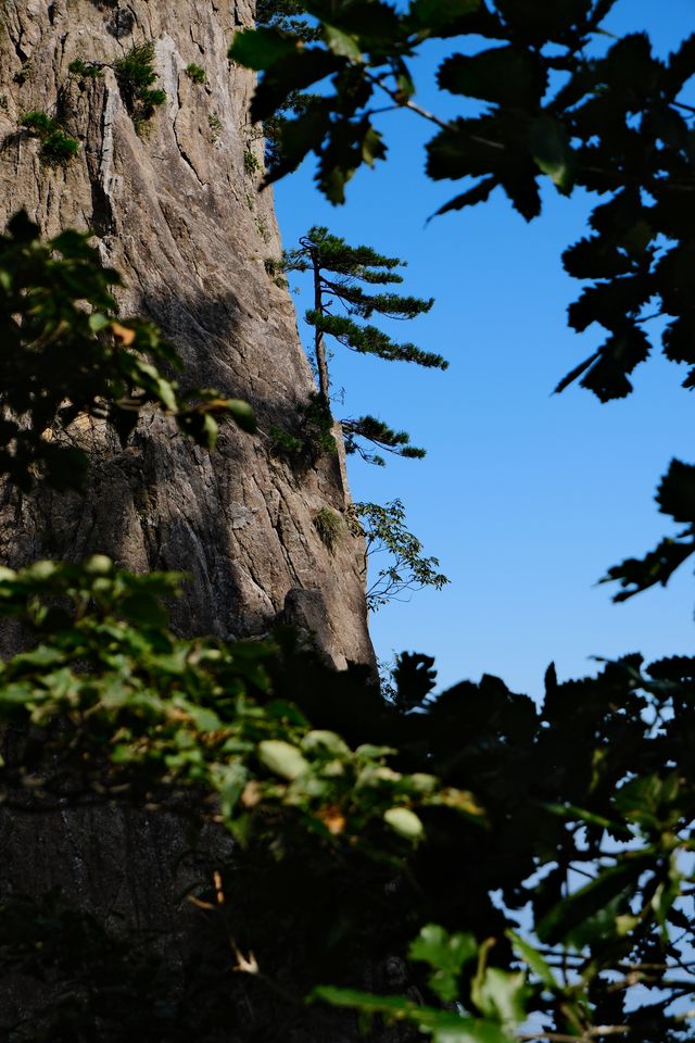 Chasing Sunsets and Peaks: My Huangshan Adventure 🌄⛰️✨