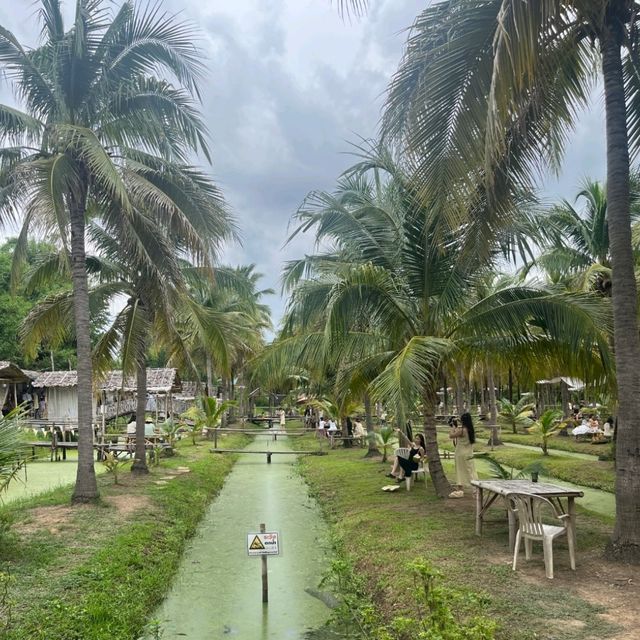 치앙마이 핫플 코코넛마켓🌴