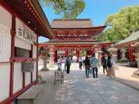 【福岡】太宰府天滿宮：九州最大神社⛩️絕對不能錯過！