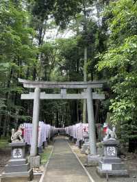 【愛知県 豊川】少し不気味な愛知県のパワースポット😱💓