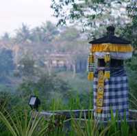 Nature's Boutique 