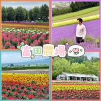 富良野富田農場-參觀彩虹般夢幻的拼布花田，北海道必到景點