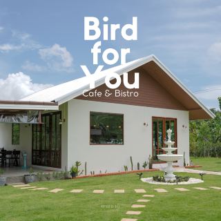 Bird for you cafe 🦜