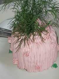 パクチーケーキ⁉️🍰🌿