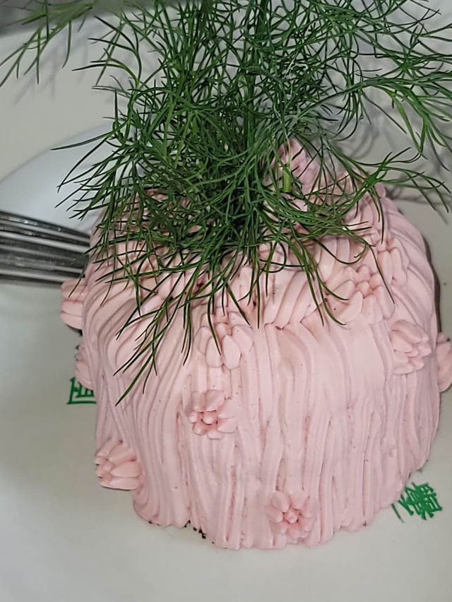 パクチーケーキ⁉️🍰🌿