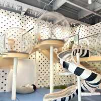 【 玩樂設施豐富的室內兒童遊樂場 】 