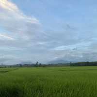 นาหมื่นศรี