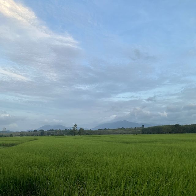 นาหมื่นศรี