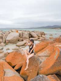 📍Bay of Fires