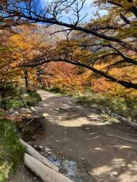 เหมือนภาพวาด ไม่เวอร์เกินไป Patagonia 