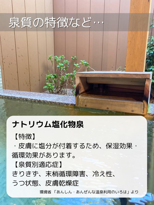 【大分/別府】贅沢！！べっぷ地獄めぐりの極楽温泉！