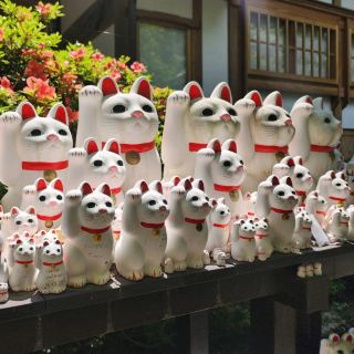 A Trip to Tokyo
