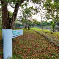 🇲🇾 Taman Tasik Cyberjaya: A Park with Stunning Lake Views