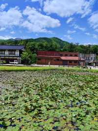 A Springtime Escape to Shirakawago