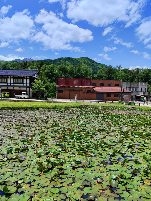A Springtime Escape to Shirakawago