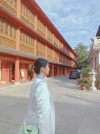 有著600多歲參天銀杏的南山禪寺