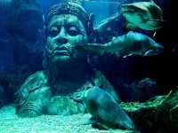 Sea Life Bangkok Ocean World สยามพารากอน