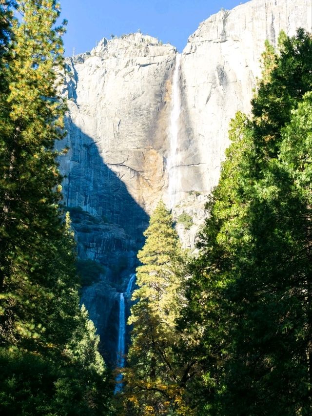 Breath Taking Water Fall In Yosemite 