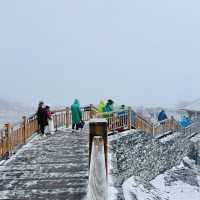ONE Day Trip Jade Dragon Snow Mountain🏔️