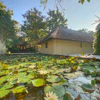 The Island of Gods: Where Serenity Meets Adventure