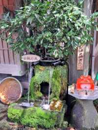 【阿蘇門前町商店街:熊本県阿蘇市】阿蘇神社から歩いてすぐ♪