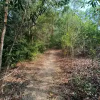 Darulaman Trails
