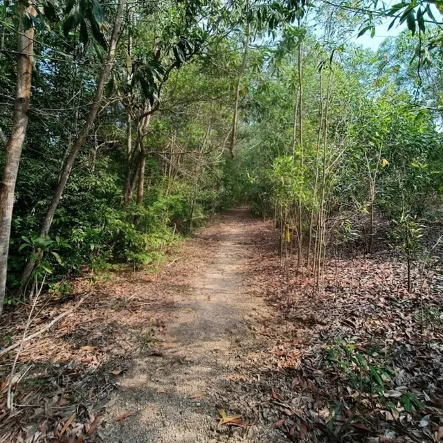 Darulaman Trails