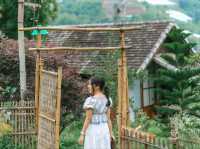 Mori Natural Farm โมริ เนเชอรัลฟาร์ม เชียงใหม่ 
