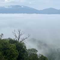 30-min easy hike to this sea of clouds!