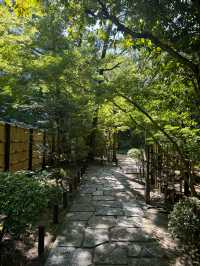 후쿠오카의 정원 🌳 라쿠스이엔