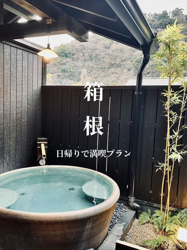 【箱根】定番だからこそゆっくり楽しめる日帰りプラン