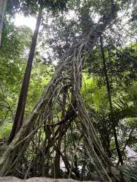 น้ำตกโกรกอีดก จ.สระบุรี น้ำตกที่ทั้งสวยและสูงในเขตภาคกลาง