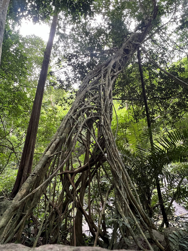 น้ำตกโกรกอีดก จ.สระบุรี น้ำตกที่ทั้งสวยและสูงในเขตภาคกลาง