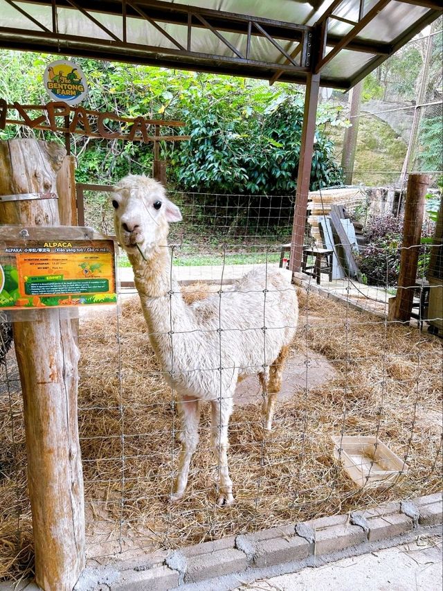 Exploring Bentong Farm: A Nature Lover’s Paradise