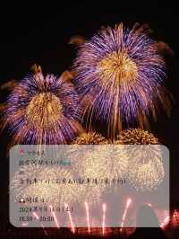 3万発打ち上げられる！？利根川大花火大会2024に行ってきた！
