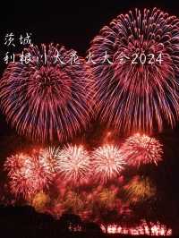 3万発打ち上げられる！？利根川大花火大会2024に行ってきた！