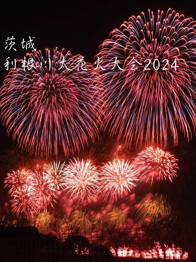 3万発打ち上げられる！？利根川大花火大会2024に行ってきた！