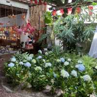 Trình Cà phê คาเฟ่บรรยากาศดีที่อยากให้มาลอง