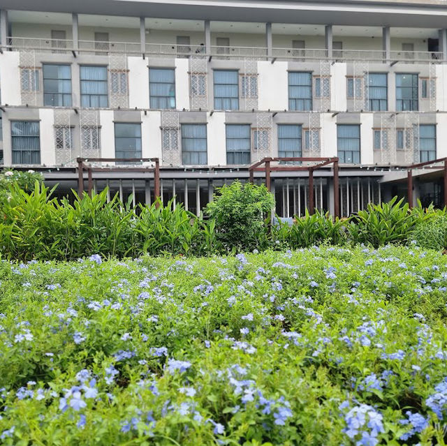 🌳Navela Hotel & Convention 