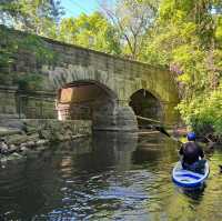 Paddling Through the Unseen Bronx: A Journey of Discovery