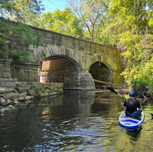 Paddling Through the Unseen Bronx: A Journey of Discovery