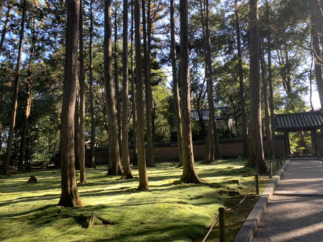 唐招提寺