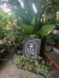 Klangsuan Cafe |ชุมพร