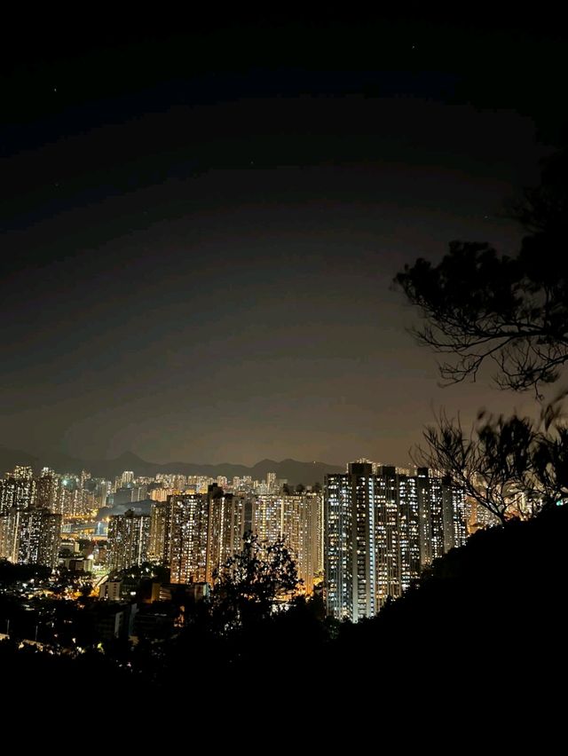 「青衣自然徑：青馬大橋壯觀景色，適合喜歡大自然的朋友」