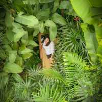 ทัพฟ้า คาเฟ่ คาเฟ่ชิคชิคที่ท่าอากาศยานพิษณุโลก