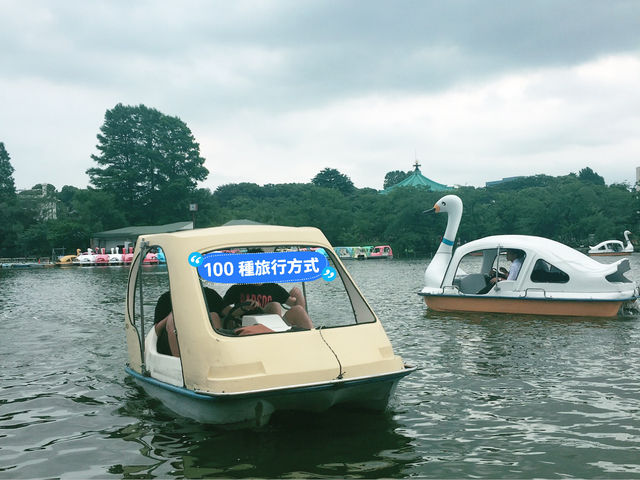 ［東京］上野恩賜公園遊歷與天鵝船體驗