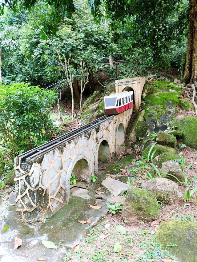 Hiking Trail from Penang Botanic Gardens